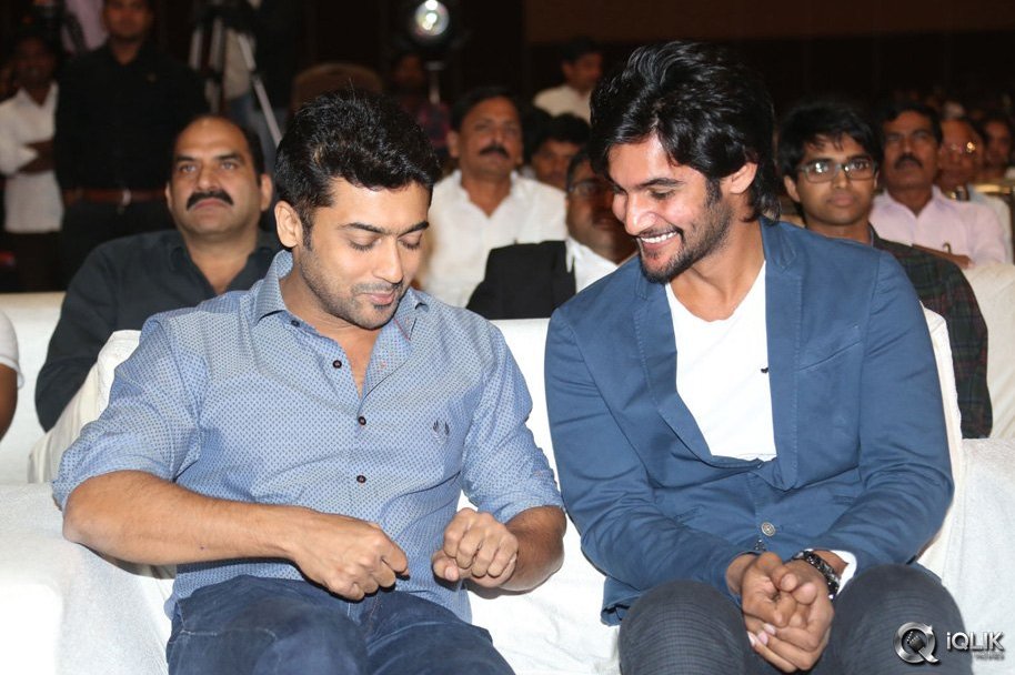 Rough-Movie-Audio-Launch